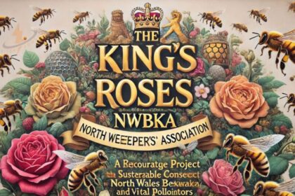 the king's roses nwbka