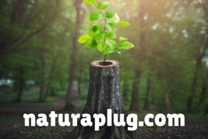 naturaplug.com