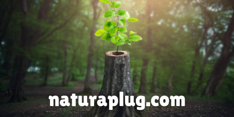 naturaplug.com