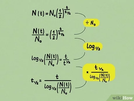 half-life calculator with steps