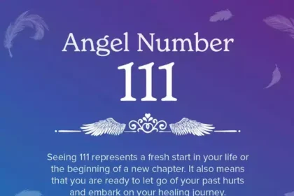 why do i keep seeing 111