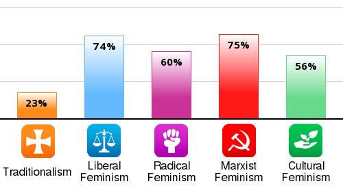 feminist perspective test