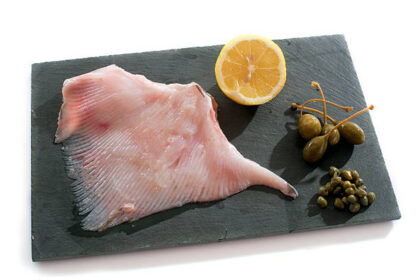 fresh skate fish