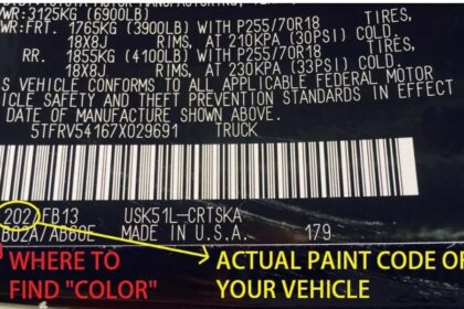 paint code by vin