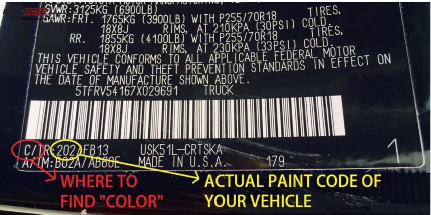 paint code by vin