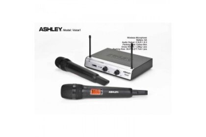 mic ashley